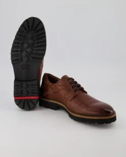 Lloyd GABON In Braun -Lloyd T 05540000512 pic12