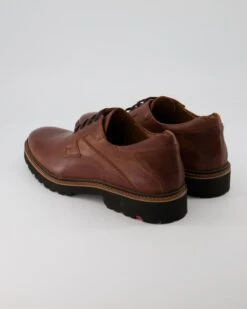 Lloyd GABON In Braun -Lloyd T 05540000512 pic3