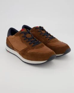 Lloyd EDMOND In Braun