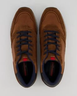 Lloyd EDMOND In Braun -Lloyd T 05540000515 pic11