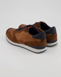 Lloyd EDMOND In Braun -Lloyd T 05540000515 pic3