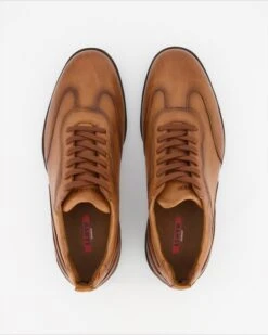 Lloyd BERN In Braun -Lloyd T 05540000549 pic11