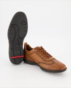 Lloyd BERN In Braun -Lloyd T 05540000549 pic12