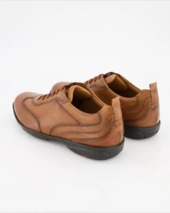 Lloyd BERN In Braun -Lloyd T 05540000549 pic3