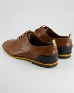 Lloyd GARDELL In Braun -Lloyd T 05540000684 pic3