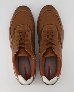 Lloyd BALTIMORE In Braun -Lloyd T 05540000769 pic11