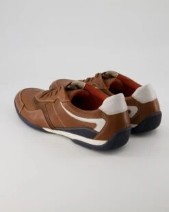 Lloyd BALTIMORE In Braun -Lloyd T 05540000769 pic3