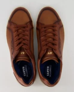 Lloyd MALAGA In Braun -Lloyd T 05540000770 pic11