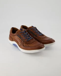 Lloyd ABOTT In Braun