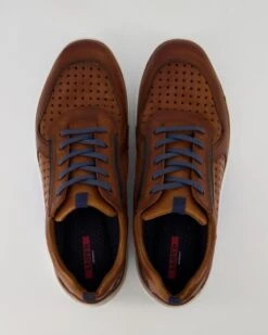 Lloyd ABOTT In Braun -Lloyd T 05540000772 pic11