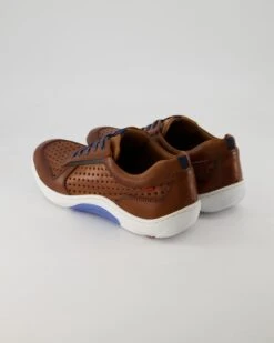 Lloyd ABOTT In Braun -Lloyd T 05540000772 pic3