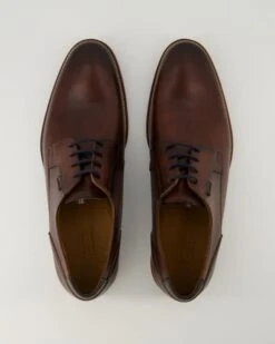 Lloyd VICKERS In Braun -Lloyd T 05540000812 pic11