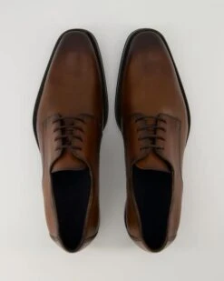 Lloyd GIDEON In Braun -Lloyd T 05540000815 pic11