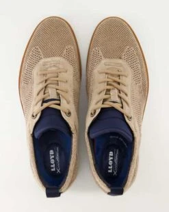 Lloyd MERLIN In Beige -Lloyd T 05550400044 pic11