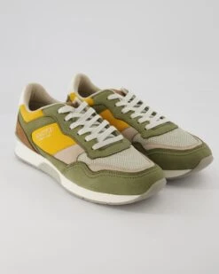 Lloyd ELOY In Mehrfarbig