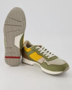 Lloyd ELOY In Mehrfarbig -Lloyd T 05580300099 pic12