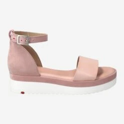 Lloyd Art.  13-529-14 Rose -Lloyd aussenseite 2925310068