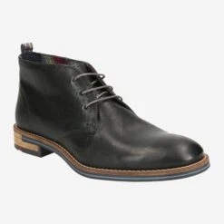 Lloyd Art.  DANIEL Schwarz