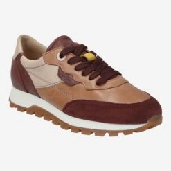 Lloyd Art. 22-290-12 Braun