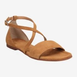 Lloyd Art.  11-574-04 Braun