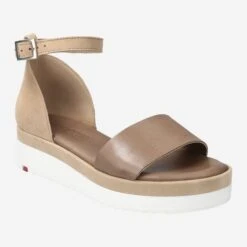 Lloyd Art.  13-529-11 Beige