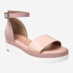 Lloyd Art.  13-529-14 Rose