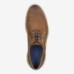 Lloyd Art.  13-014-24 DARRIS Braun -Lloyd top 1323060078