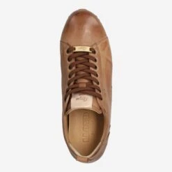 Lloyd Art.  12-745-13 Braun -Lloyd top 2333010066