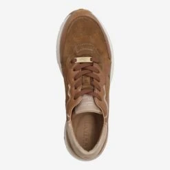 Lloyd Art. 22-201-31 Braun 11 Lloyd Art. 22-201-31 Braun -Lloyd top 2333060037